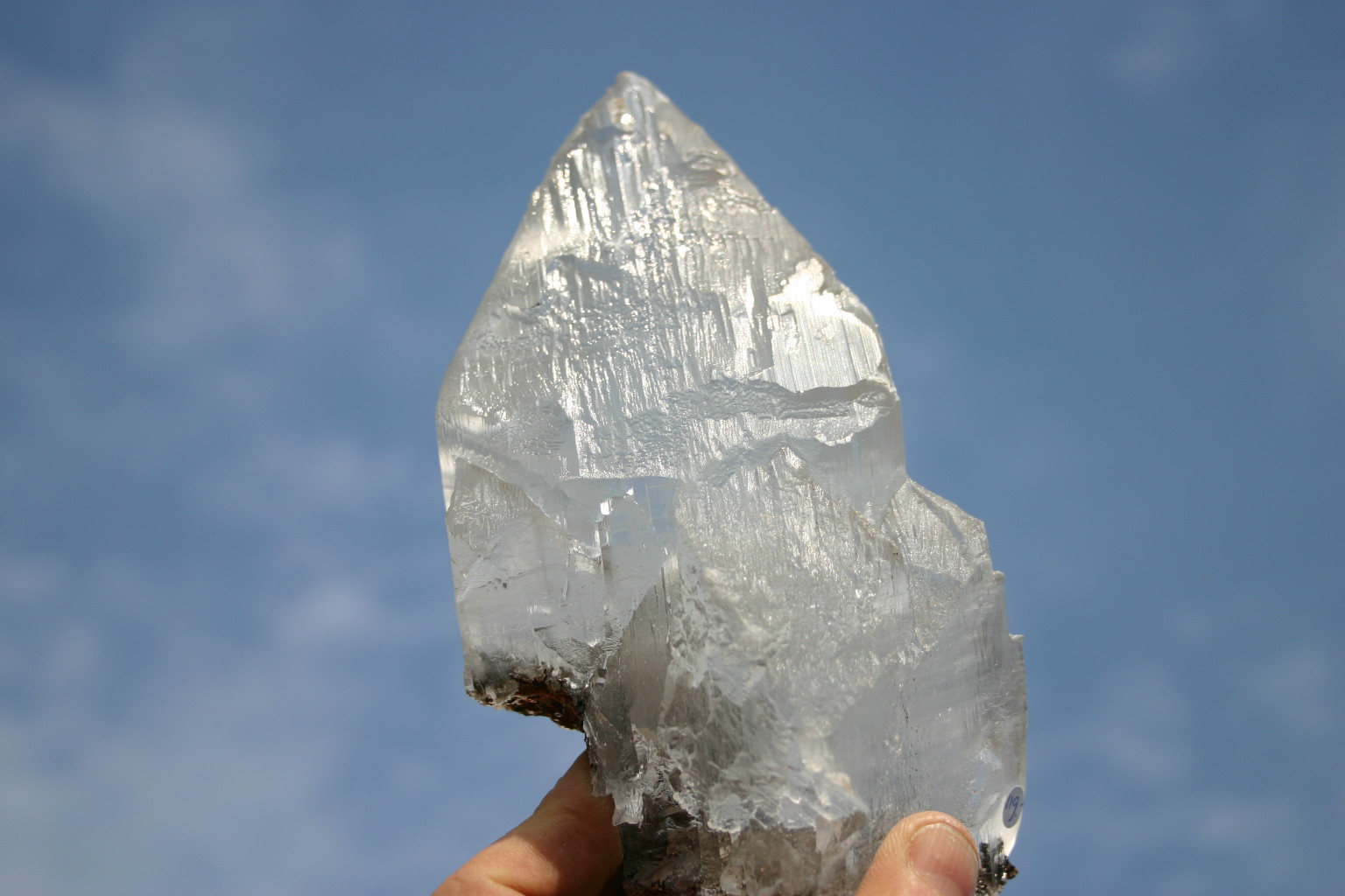 Naica119