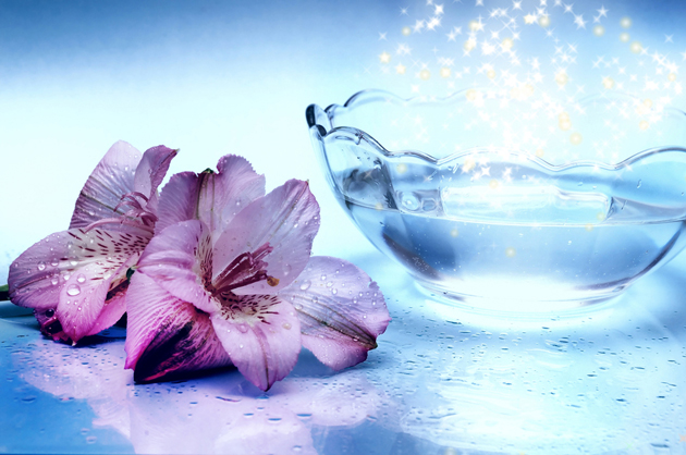 lotus met water