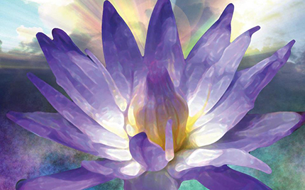 paarse lotus